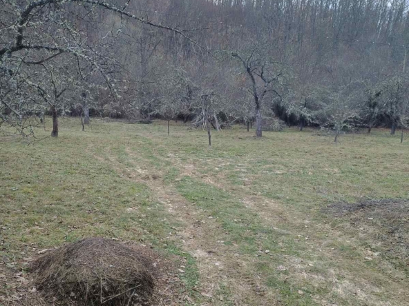 Парцел в Радомир - 3007 кв.м за 24 €/кв.м - Снимка #1