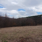 Парцел в Априлци - 1000 кв.м за 12 €/кв.м - Снимка #1