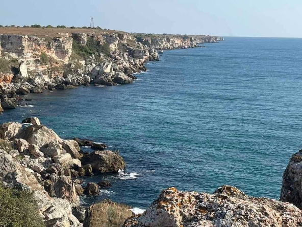 Парцел в с. Камен бряг, Област Добрич - 5500 кв.м за 13 €/кв.м - Снимка #1