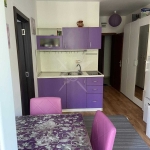 Едностаен апартамент в к.к. Слънчев бряг - 39 кв.м за 1103 €/кв.м - Снимка #1