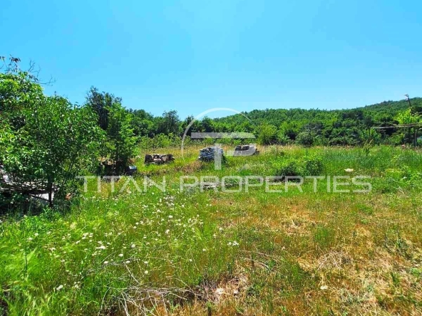 Парцел в Брацигово - 1300 кв.м за 7 €/кв.м - Снимка #1