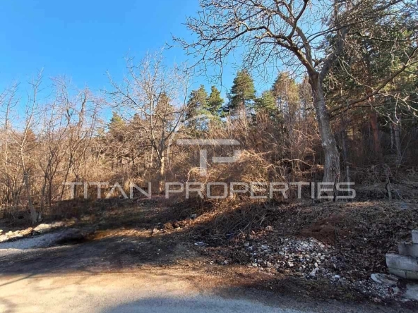 Парцел в с. Гълъбово, Област Пловдив - 1800 кв.м за 43 €/кв.м - Снимка #1