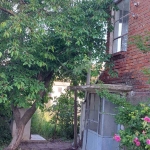 Къща в с. Русокастро, Област Бургас - 126 кв.м за 152 €/кв.м - Снимка #1