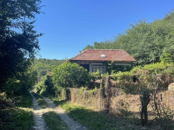 Парцел в с. Усойка, Област Кюстендил - 320 кв.м за 31 €/кв.м - Снимка #1