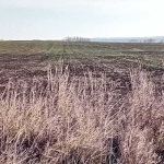 Земеделски имот в Бургас, Ветрен -  кв.м за 7 €/дка - Снимка #1