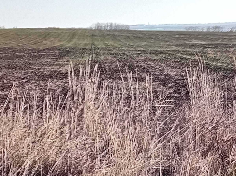 Земеделски имот в Бургас, Ветрен -  кв.м за 7 €/дка - Снимка #1