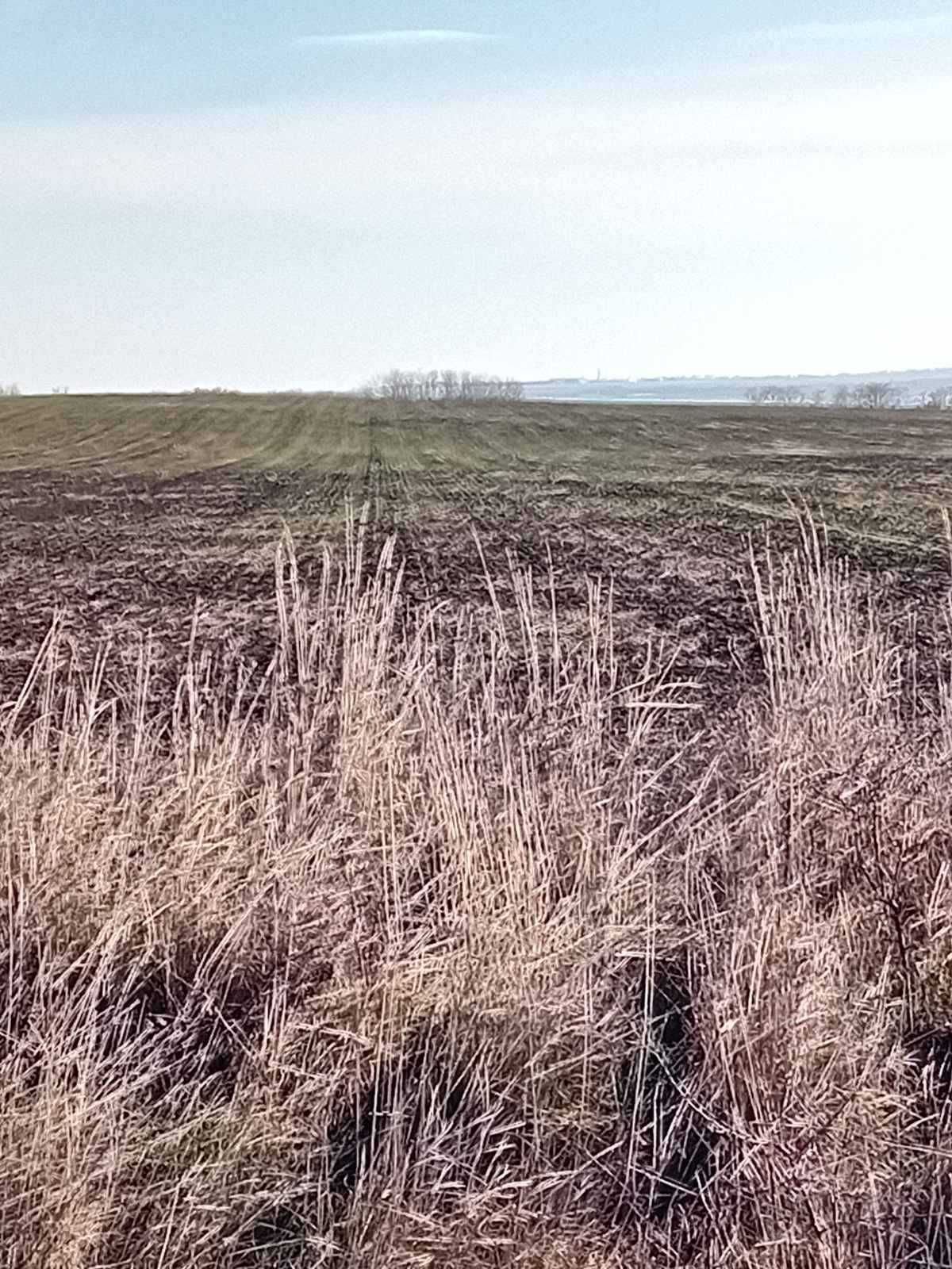 Земеделски имот в Бургас, Ветрен -  кв.м за 7 €/дка - Снимка #1