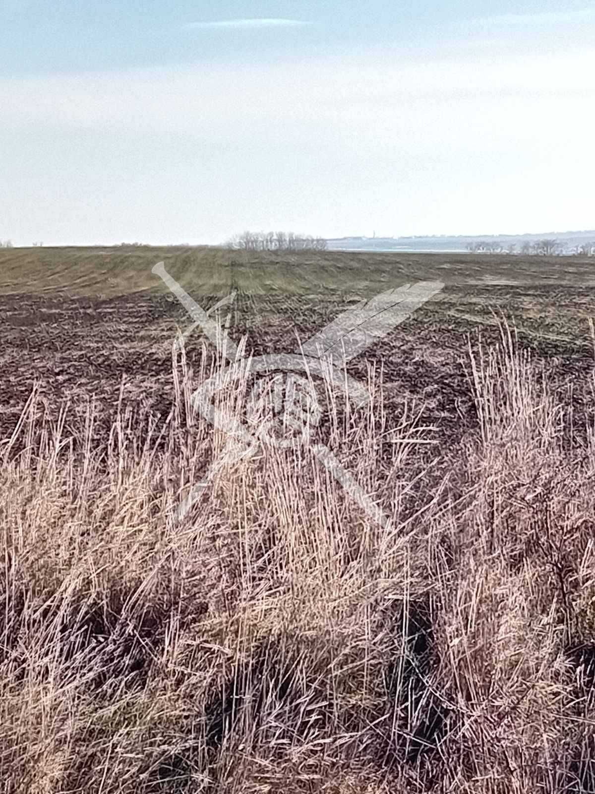 Парцел в Приморско - 7000 кв.м за 1 €/кв.м - Снимка #1