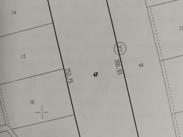 Земеделски имот в с. Владимирово, Област Добрич -  кв.м за 0 €/дка - Снимка #1