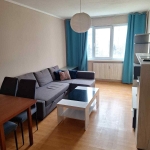 Дава се под наем Двустаен апартамент в София, Люлин 9 - 66 кв.м за 518.67 € - Снимка #1