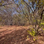 Парцел в с. Захари Стояново, Област Добрич - 2400 кв.м за 7 €/кв.м - Снимка #1