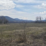 Парцел в с. Чешма, Област Велико Търново - 9998 кв.м за 2 €/кв.м - Снимка #1