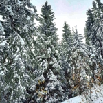 Парцел в с. Зорница, Област Смолян - 430 кв.м за 20 €/кв.м - Снимка #1