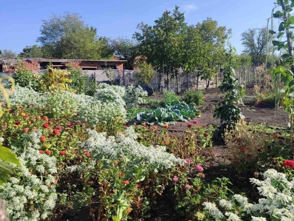 Къща в с. Трояново, Област Бургас - 80 кв.м за 287 €/кв.м - Снимка #1