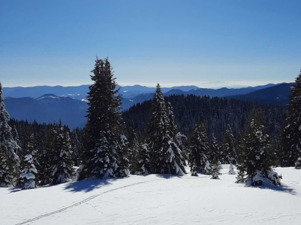 Парцел в с. Зорница, Област Смолян - 1337 кв.м за 20 €/кв.м - Снимка #1