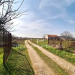 Промишлена сграда в с. Маноле, Област Пловдив - 2243 кв.м за 16 €/кв.м - Снимка #1