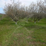 Парцел в с. Зимен, Област Бургас - 16000 кв.м за 2 €/кв.м - Снимка #1