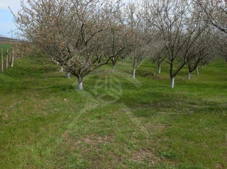 Парцел в с. Зимен, Област Бургас - 16000 кв.м за 2 €/кв.м - Снимка #1