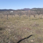 Земеделски имот в Нови Искър -  кв.м за 6800 €/дка - Снимка #1