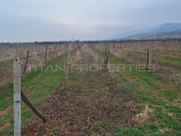 Парцел в Куклен - 33096 кв.м за 5 €/кв.м - Снимка #1