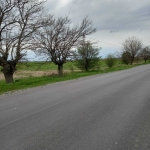 Земеделски имот в с. Белозем, Област Пловдив -  кв.м за 15000 €/дка - Снимка #1