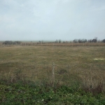 Земеделски имот в София, 7-ми 11-ти километър -  кв.м за 8 €/дка - Снимка #1