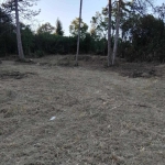 Парцел в с. Букоровци, Област София-област - 600 кв.м за 11 €/кв.м - Снимка #1