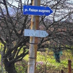 Парцел в Габрово, Шенини - 1000 кв.м за 7 €/кв.м - Снимка #1