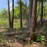 Парцел в София, в.з. Горна баня - 1747 кв.м за 67 €/кв.м - Снимка #1