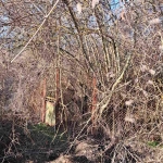 Парцел в с. Лобош, Област Перник - 400 кв.м за 51 €/кв.м - Снимка #1