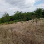 Парцел в София, Люлин 7 - 4700 кв.м за 3 €/кв.м - Снимка #1