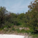 Дава се под наем Парцел в Варна, Възраждане 1 - 1000 кв.м за 99.45 € - Снимка #1