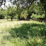 Парцел в с. Егълница, Област Перник - 1640 кв.м за 6 €/кв.м - Снимка #1