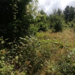 Парцел в с. Мърчаево, Област София-град - 1292 кв.м за 51 €/кв.м - Снимка #1