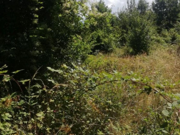 Парцел в с. Мърчаево, Област София-град - 1292 кв.м за 51 €/кв.м - Снимка #1