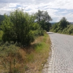 Парцел в с. Мърчаево, Област София-град - 1443 кв.м за 30 €/кв.м - Снимка #1