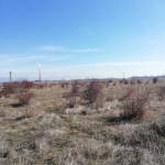 Парцел в София, Република - 4700 кв.м за 22 €/кв.м - Снимка #1