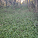 Парцел в с. Рударци, Област Перник - 400 кв.м за 145 €/кв.м - Снимка #1