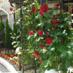 Тристаен апартамент в с. Равда, Област Бургас - 88 кв.м за 1023 €/кв.м - Снимка #1