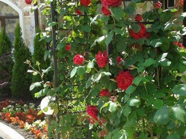 Тристаен апартамент в с. Равда, Област Бургас - 88 кв.м за 1023 €/кв.м - Снимка #1