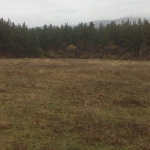 Парцел в с. Старо село, Област Перник - 2100 кв.м за 6 €/кв.м - Снимка #1