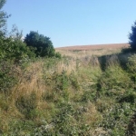 Парцел в с. Сопица, Област Перник - 800 кв.м за 11 €/кв.м - Снимка #1