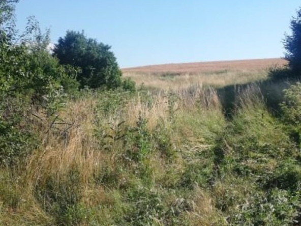 Парцел в с. Сопица, Област Перник - 800 кв.м за 11 €/кв.м - Снимка #1