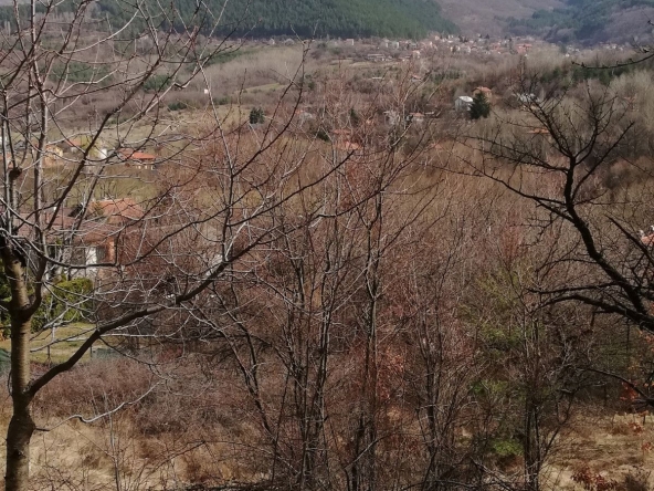 Парцел в с. Драгичево, Област Перник - 2382 кв.м за 41 €/кв.м - Снимка #1