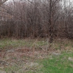 Парцел в с. Драгичево, Област Перник - 850 кв.м за 51 €/кв.м - Снимка #1