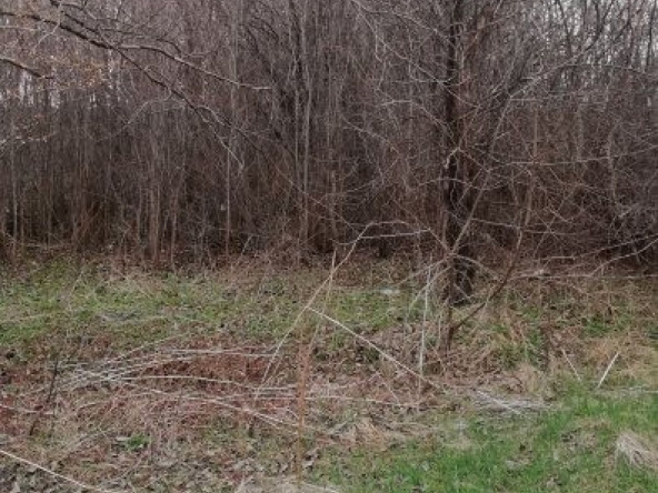 Парцел в с. Драгичево, Област Перник - 850 кв.м за 51 €/кв.м - Снимка #1