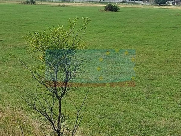 Парцел в с. Рельово, Област София-област - 4000 кв.м за 20 €/кв.м - Снимка #1