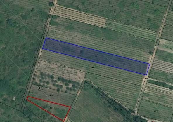 Земеделски имот в с. Белащица, Област Пловдив -  кв.м за 26067 €/дка - Снимка #1