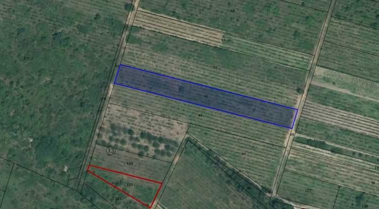 Земеделски имот в с. Белащица, Област Пловдив -  кв.м за 26067 €/дка - Снимка #1