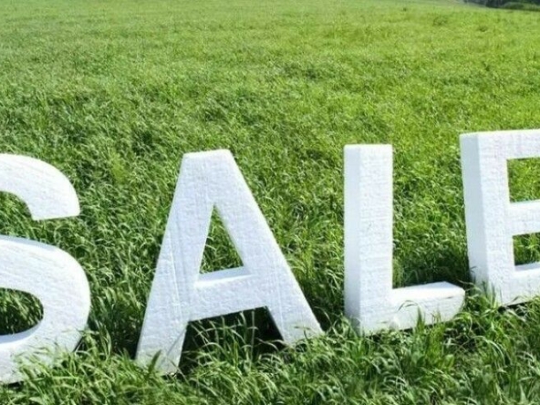 Парцел в с. Осеново, Област Варна - 3119 кв.м за 7 €/кв.м - Снимка #1